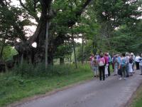 Albums/20090700-Windsor Great Park/4